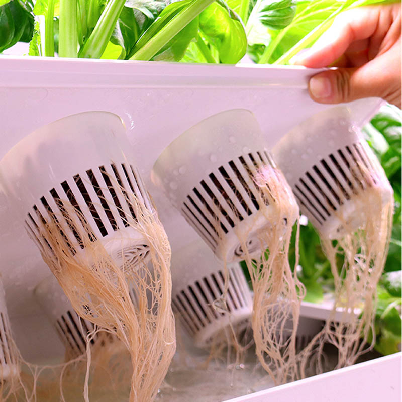 ระบบปลูกพืชไฮโดรโปนิกส์ ระบบอั - Smart Home Automation Diy บทวิจารณ์และราคา